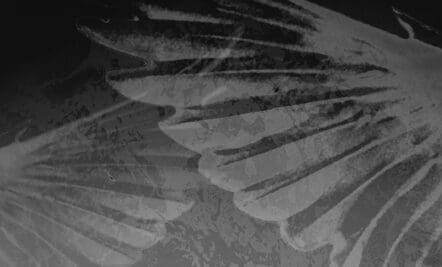 Receiving Kingdom Power