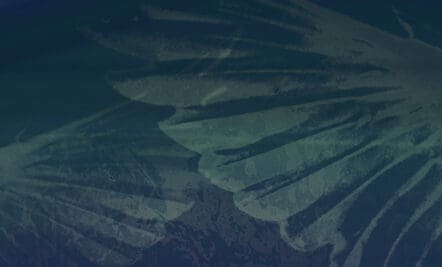 Spirit-Empowered Prayer