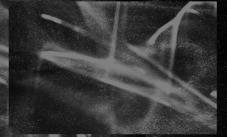 Authority Demonstrated